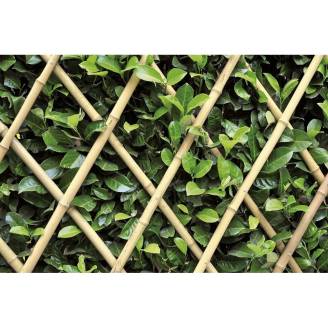 Grigliati e pannelli - Traliccio estensibile in Bamboo 180x45 cm a ...