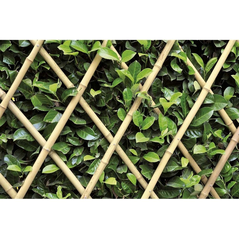 Grigliato estensibile in Bamboo 180x45 cm a maglia diagonale