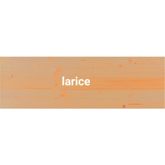 Colorazione casa color larice