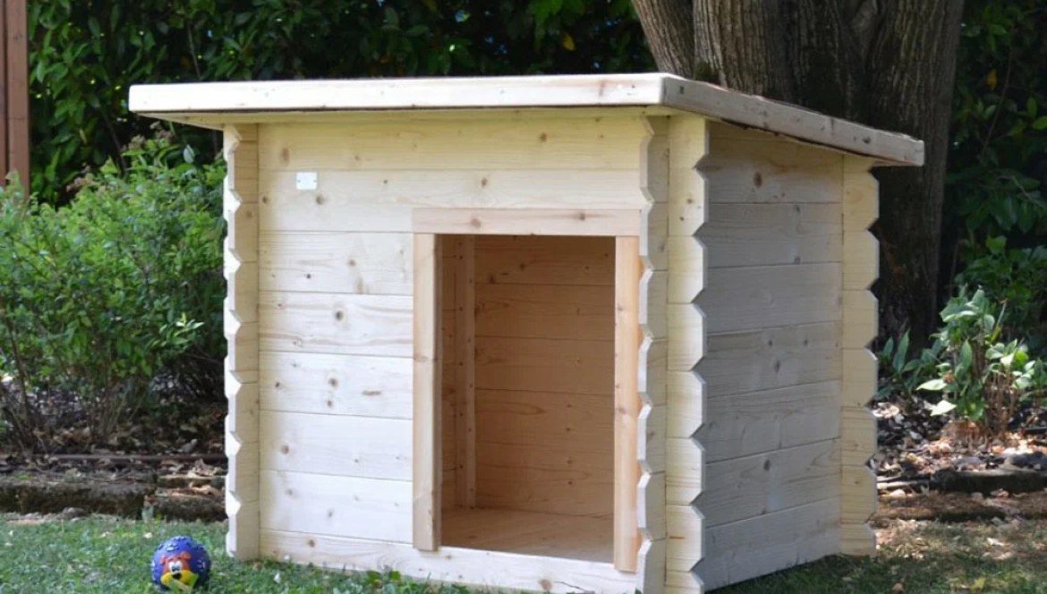 Cuccia per Cani da Esterno in Legno: Misura e Inverno